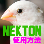 NEKTON使用方法