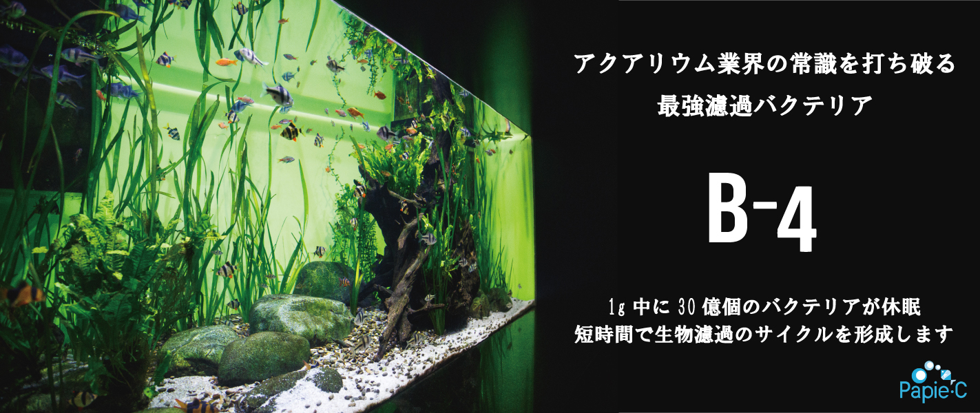 アクアリューム パピエ シー有限会社 アクアリューム パピエ シー有限会社