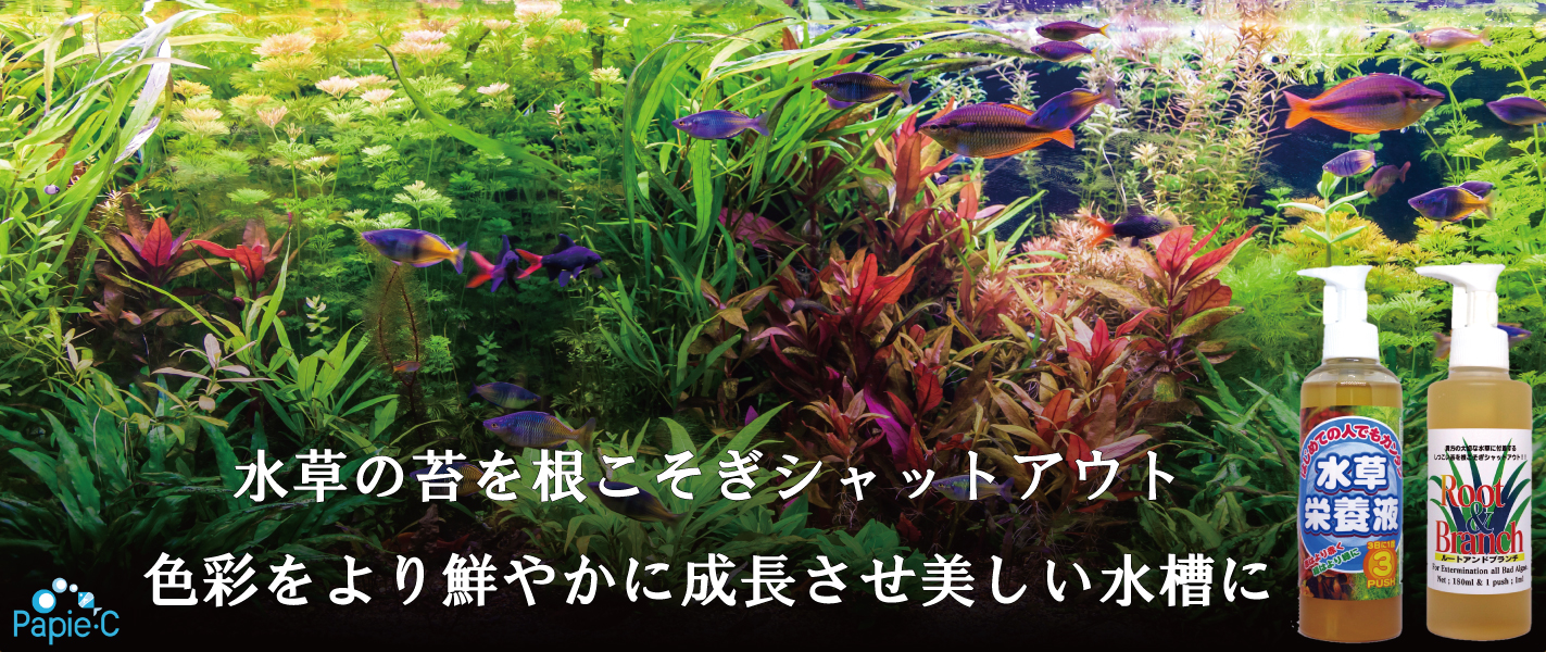 パピエ シー有限会社 パピエ シーは ペット アクアライフを支えていきます パピエ シー有限会社 パピエ シーは ペット アクアライフを支えていきます