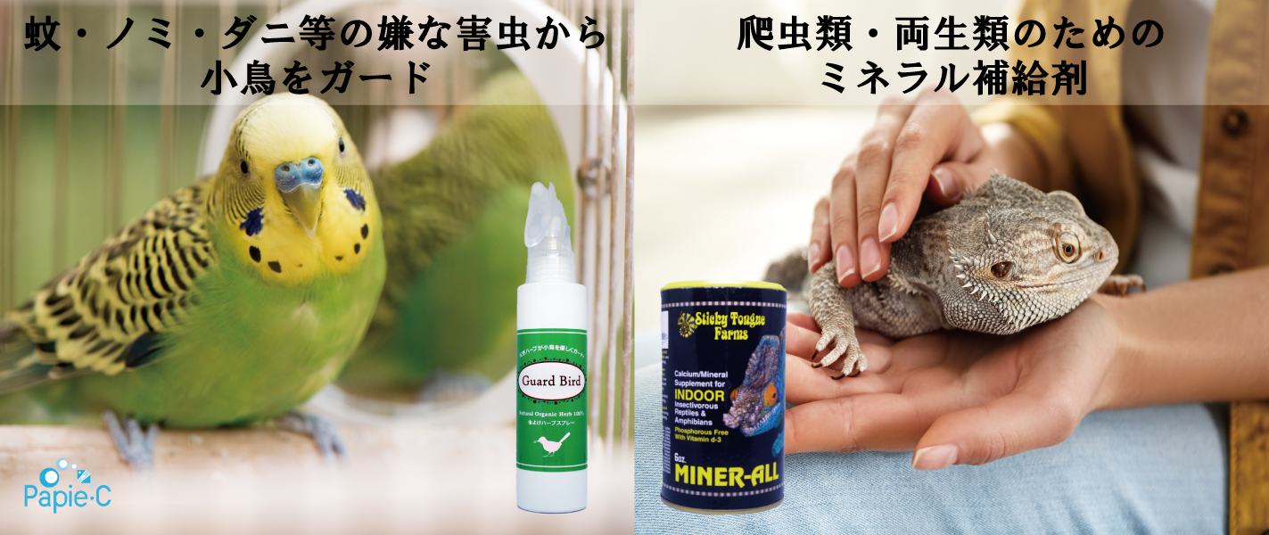アクアリューム パピエ シー有限会社 アクアリューム パピエ シー有限会社